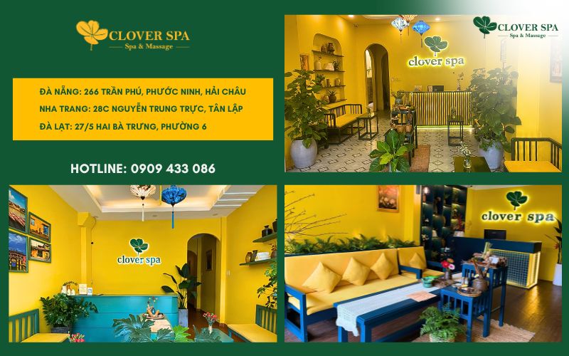 Clover Spa - Trải nghiệm massage đỉnh cao tại Đà Lạt, Nha Trang và Đà Nẵng