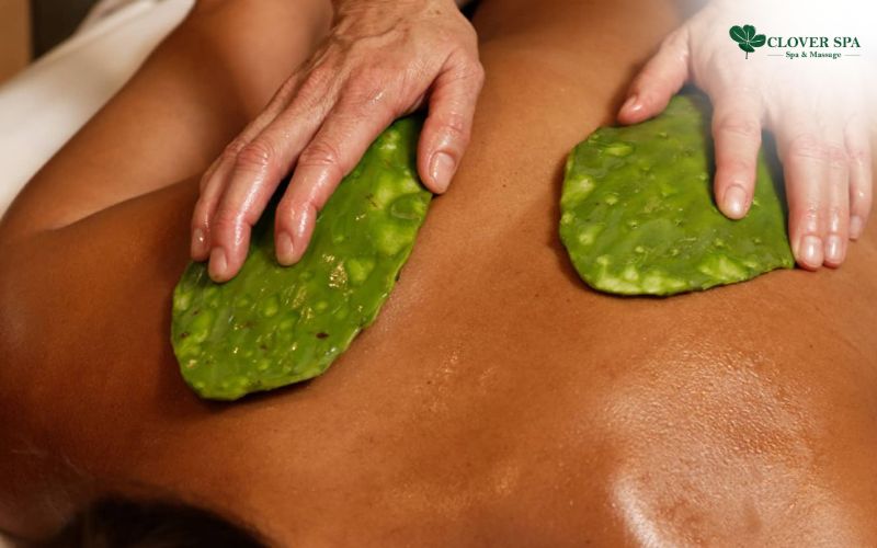 Khám phá Massage Xương Rồng độc tại Clover Spa