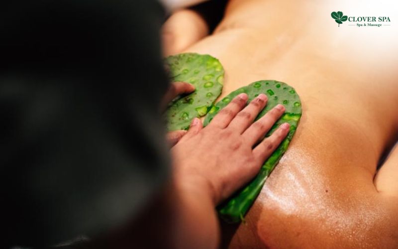 Massage Xương rồng: Sự kết hợp hoàn hảo cho làn da bong tại Clover Spa