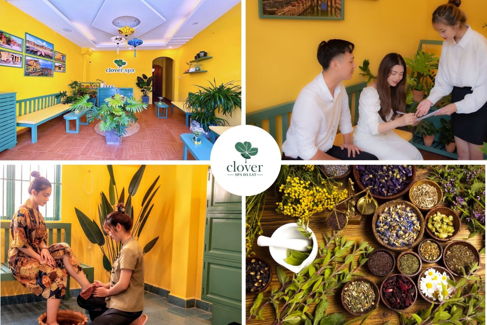 massage thảo dược